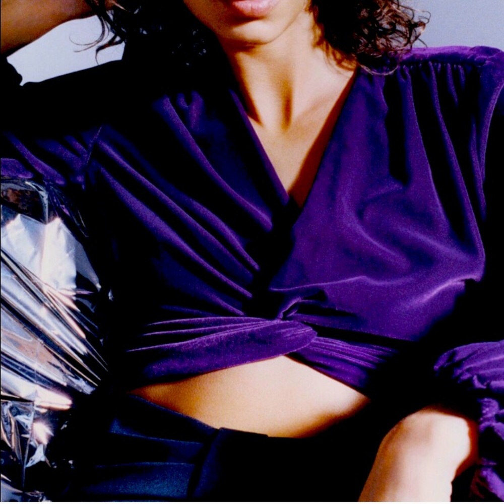 Zara Purple Velvet Top